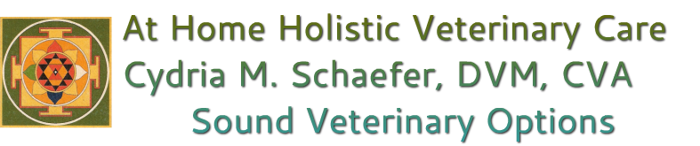 At Home Holistic Vet Care
